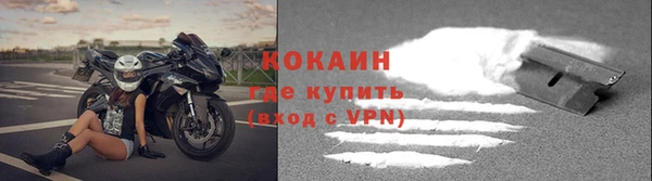 прущий лед Алзамай
