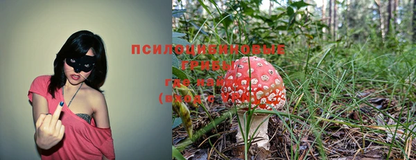 гидропоника Алексеевка